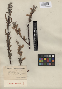 LE 00011256
