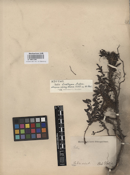LE 00011263