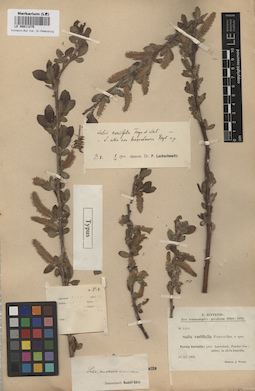 LE 00011275
