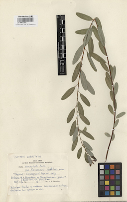 LE 00011283