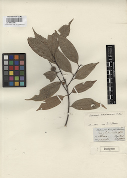 LE 00011348