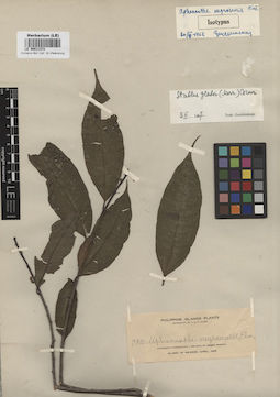 LE 00011373