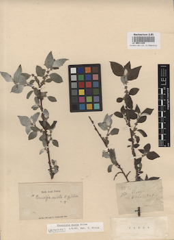 LE 00011429