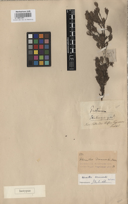 LE 00011457