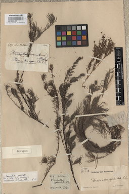 LE 00011462