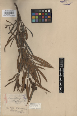LE 00011470