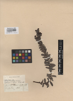 LE 00011471