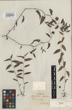 LE 00011548