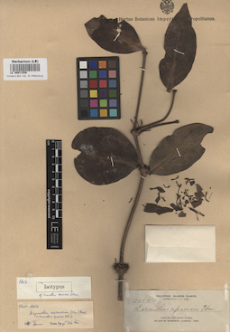 LE 00011550