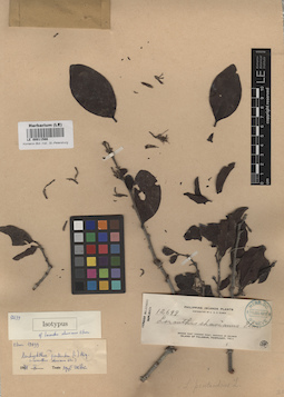 LE 00011566