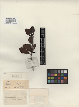 LE 00011569