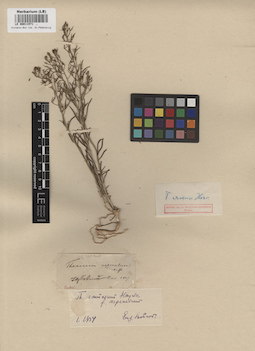 LE 00011571