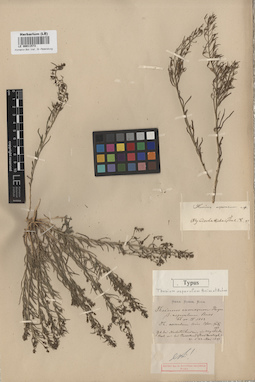 LE 00011573