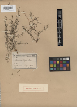 LE 00011574