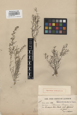 LE 00011576