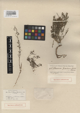 LE 00011578