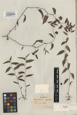 LE 00011588