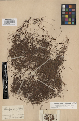 LE 00011590