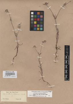 LE 00011594