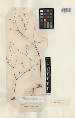 LE 00011604