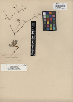 LE 00011605