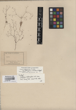 LE 00011607