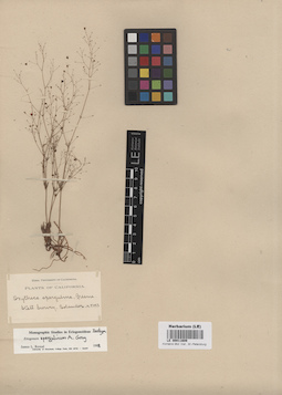LE 00011609