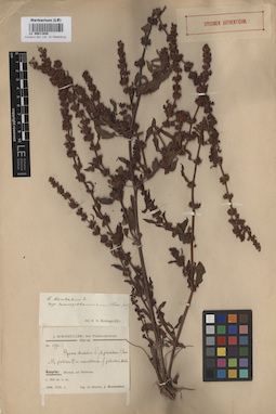 LE 00011626