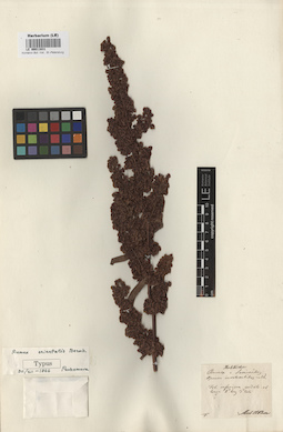 LE 00011631