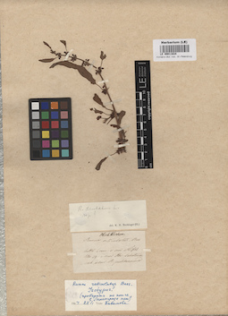 LE 00011634