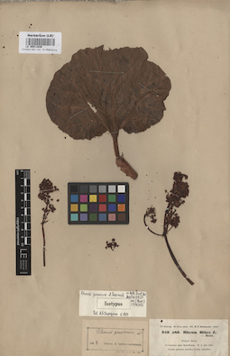 LE 00011639