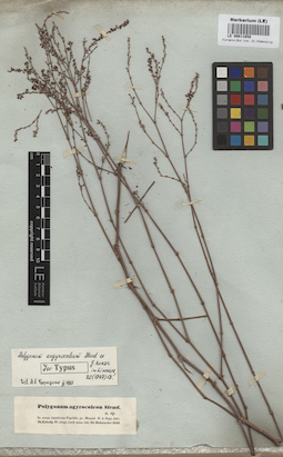 LE 00011658