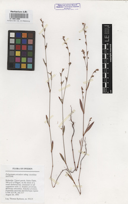 LE 00011660