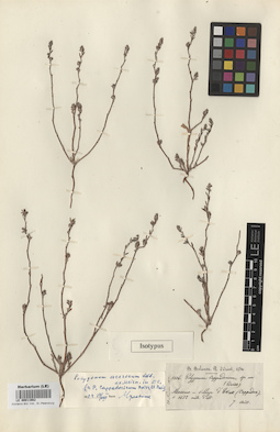 LE 00011662