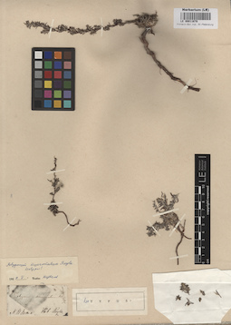 LE 00011670