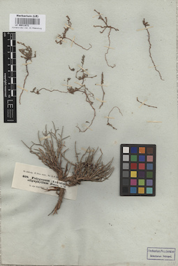 LE 00011672