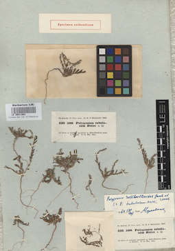 LE 00011682
