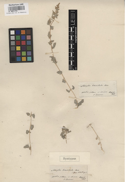 LE 00011701