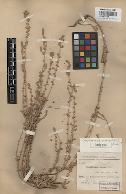 LE 00011705