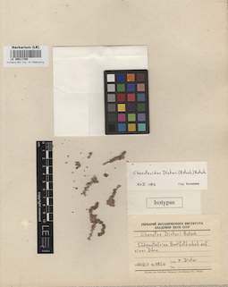 LE 00011709
