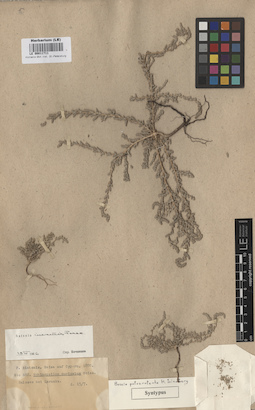 LE 00011711