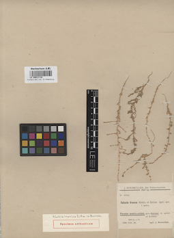 LE 00011716