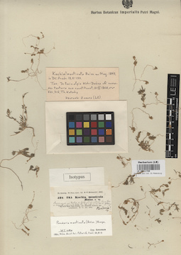 LE 00011720