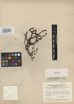 LE 00011723