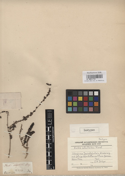LE 00011724