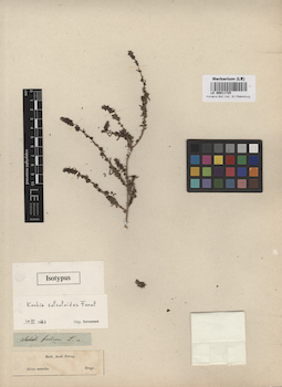 LE 00011725