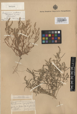 LE 00011729