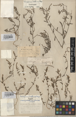 LE 00011733