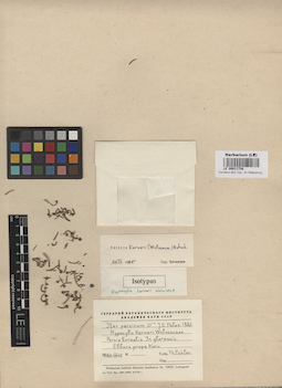LE 00011738