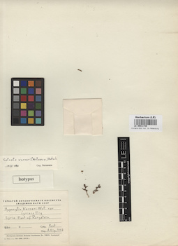 LE 00011739
